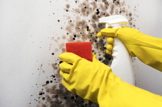 Water Damage Restoration in South Amboy, NJ