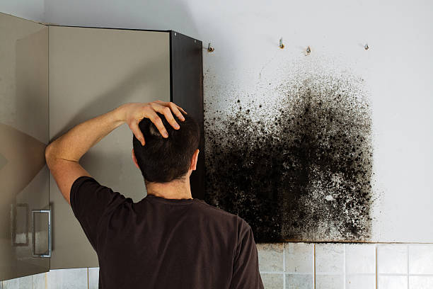 Best Mold Cleaning Services  in South Amboy, NJ